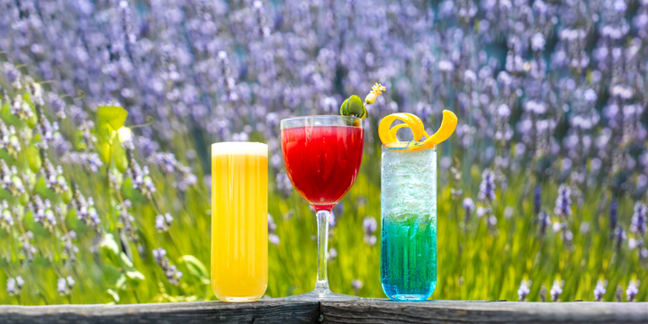 3 Spectacular Summer Sour Cocktails