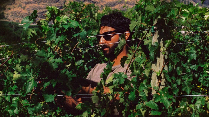 Meet the Maker:  Desert Hills  and Ursa Major Estate Wineries