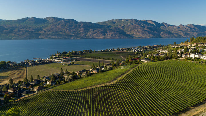 BC Wine Month: Discover some of the Okanagan’s Most Celebrated Vineyards | Cascadia Liquor 