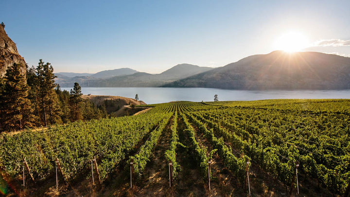 The Okanagan: Canada's Most Diverse Wine Region | Cascadia Liquor | cedarcreek,education,okanagan wine,poplar grove,tinhorn creek,wine education